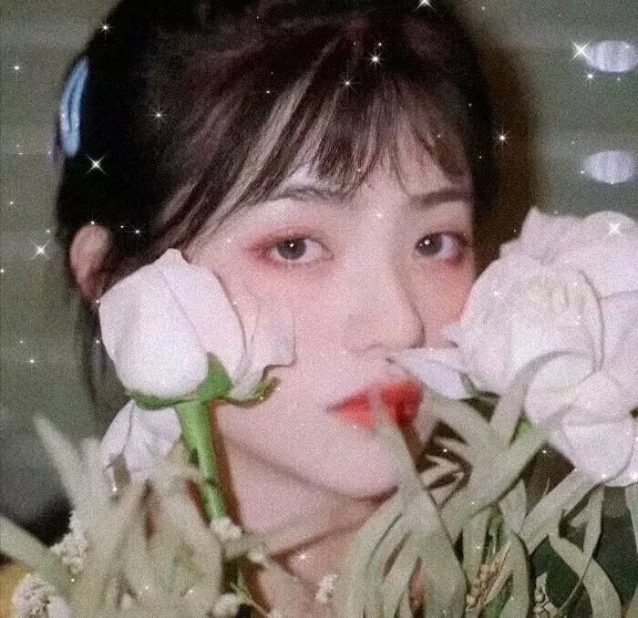 浴火之森